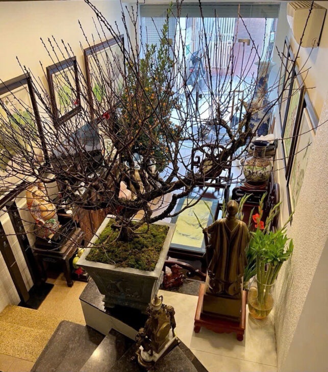 bán nhà Đống Đa 53m Trung Liệt,, mặt phố ô tô tránh đỗ, kinh doanh sầm uất