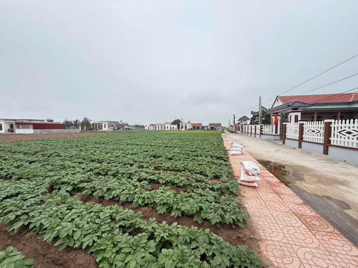 Chính chủ bán đất nền ven biển Quất Lâm