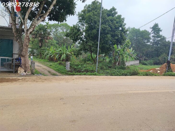 Đất mặt đường Tiên Hội, Cao Dương,Lương Sơn