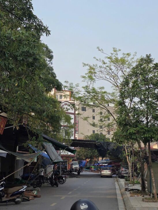 Đất Phân Lô Đồng Bèo Từ Sơn Bắc Ninh: Tiềm Năng Phát Triển Cao, Giá Cả Hợp Lý