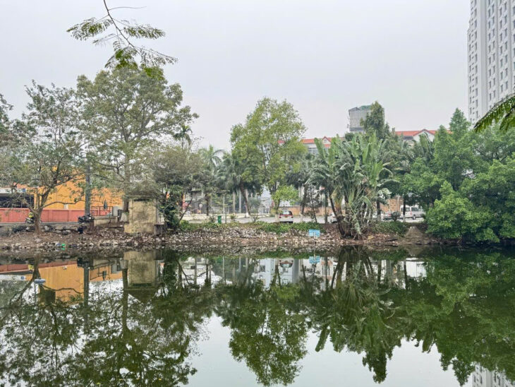 CHỈ 292 TRIỆU/M CÓ NGAY ĐẤT TÔ NGỌC VÂN 202M MT 9M Ô TÔ VÀO ĐẤT GIÁ 59 TỶ 0878168006