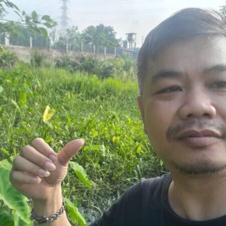 Đất Khủng 2595m2 có 26 tỷ x Mặt tiền Nguyễn Thị Điệp Đông Thạnh Hóc Môn TP. Hồ Chí Minh. Đất Khủng 2595m2 có 26 tỷ x Mặt tiền Nguyễn Thị Điệp Đông Thạnh Hóc Môn TP. Hồ Chí Minh.