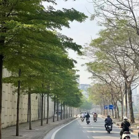 Bán đất mặt đường Bưởi, Ba Đình, 2 mặt đường, diện tích 60m2 full thổ cư, giá chỉ 1x tỷ, x mầm Bán đất mặt đường Bưởi, Ba Đình, 2 mặt đường, diện tích 60m2 full thổ cư, giá chỉ 1x tỷ, x mầm