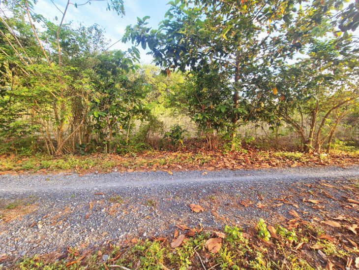 Đất 1/ Nguyễn Thị Rành – 3567m2 – 67×60 – 200m2 thổ cư – xã Nhuận Đức – Củ Chi