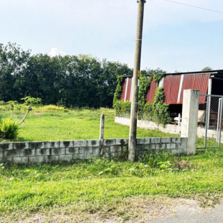 Đất 1/ đường Trương Thị Kiện – 1145m2 – 10×55 nở hậu 21m – 65m2 thổ cư – xã Thái Mỹ – Củ Chi