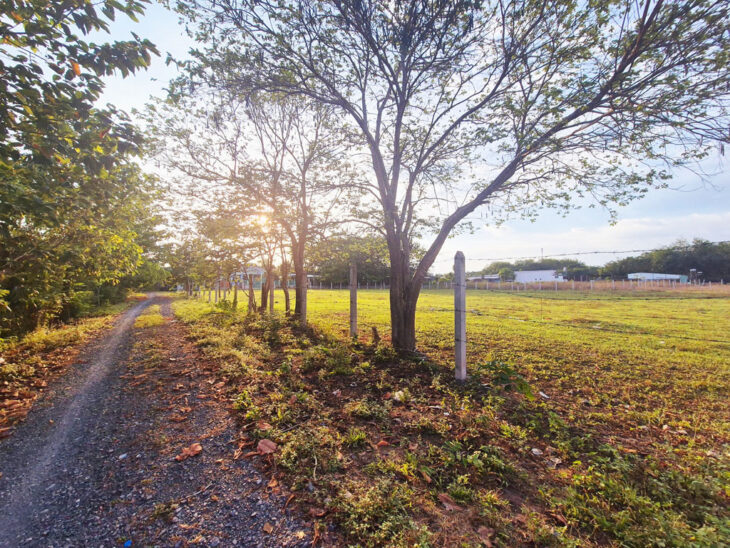 Đất 1/ Nguyễn Thị Rành – 3567m2 – 67×60 – 200m2 thổ cư – xã Nhuận Đức – Củ Chi