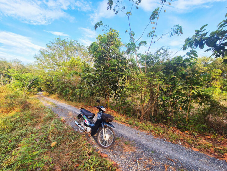 Đất 1/ Nguyễn Thị Rành – 3567m2 – 67×60 – 200m2 thổ cư – xã Nhuận Đức – Củ Chi