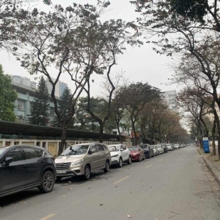 CƠ HỘI VÀNG–TÒA NHÀ 9 TẦNG THANG MÁY MẶT PHỐ HỒ TÙNG MẬU–VỈA HÈ RỘNG–DÒNG SẢN PHẨM CỰC HIẾM–CHỈ 46