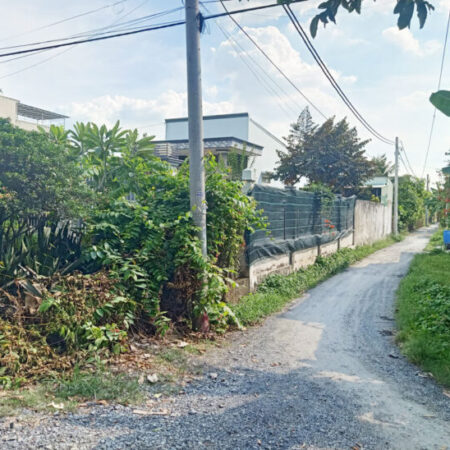 Bán nhà 2 mặt tiền 1/ đường Bình Mỹ – 744m2 – 10×70 – 533m2 thổ cư – xã Bình Mỹ – Củ Chi