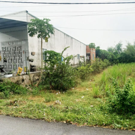 Đất đường Huỳnh Thị Kiểu – 183m2 – 5×36 – xã Trung Lập Thượng – Củ Chi Đất đường Huỳnh Thị Kiểu – 183m2 – 5×36 – xã Trung Lập Thượng – Củ Chi