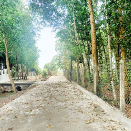 Bán đất 1/ đường Võ Văn Điều – 790m2 – 15×61 nở hậu 17m – xã Phước Thạnh – Củ Chi Bán đất 1/ đường Võ Văn Điều – 790m2 – 15×61 nở hậu 17m – xã Phước Thạnh – Củ Chi