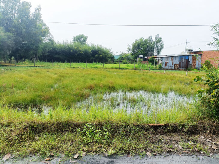 Bán đất 1/ đường An Nhơn Tây – 229m2 – 8×29 – 214m2 thổ cư – xã An Nhơn Tây – Củ Chi