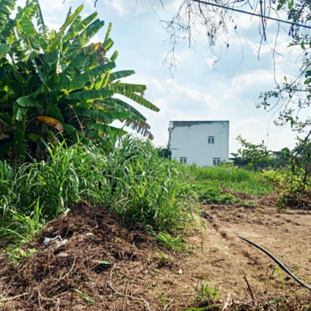 Bán nhà 1/ đường Bình Mỹ – 1455m2 – 17×88 – 668m2 thổ cư – xã Bình Mỹ – Củ Chi