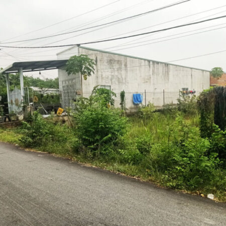 Bán đất đường Huỳnh Thị Kiểu – 263m2 – 7×38 – 200m2 thổ cư – xã Trung Lập Thượng – Củ Chi