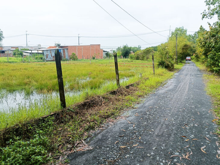 Bán đất 1/ đường An Nhơn Tây – 229m2 – 8×29 – 214m2 thổ cư – xã An Nhơn Tây – Củ Chi