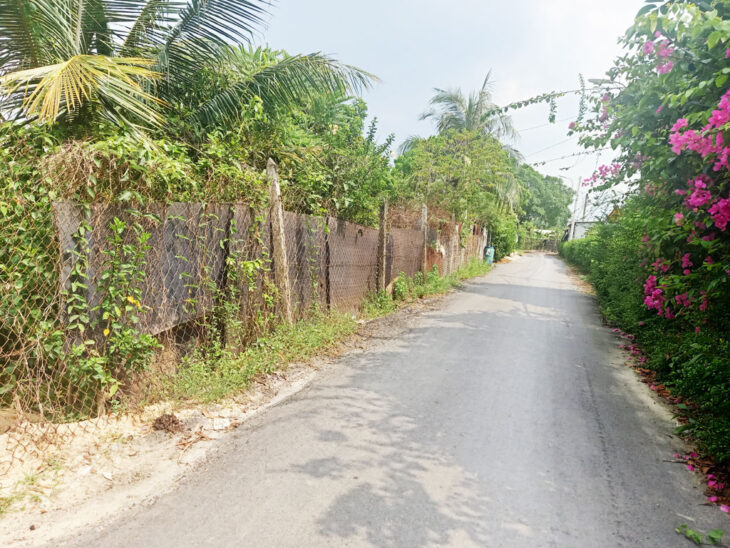 Bán đất đường Trần Thị Hồ – 355m2 – 8×44 – 150m2 thổ cư – xã Hòa Phú – Củ Chi