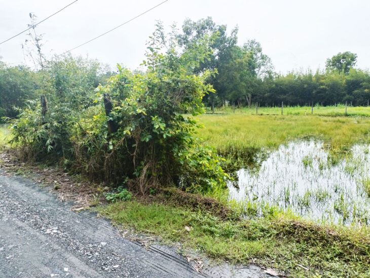 Bán đất 1/ đường An Nhơn Tây – 229m2 – 8×29 – 214m2 thổ cư – xã An Nhơn Tây – Củ Chi