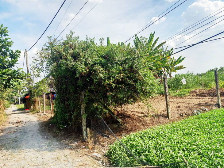 Bán nhà 1/ đường Bình Mỹ – 1455m2 – 17×88 – 668m2 thổ cư – xã Bình Mỹ – Củ Chi