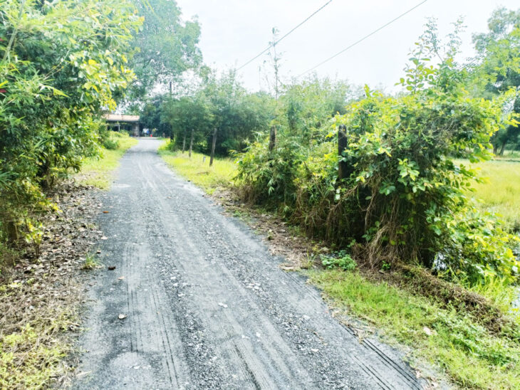 Bán đất 1/ đường An Nhơn Tây – 229m2 – 8×29 – 214m2 thổ cư – xã An Nhơn Tây – Củ Chi