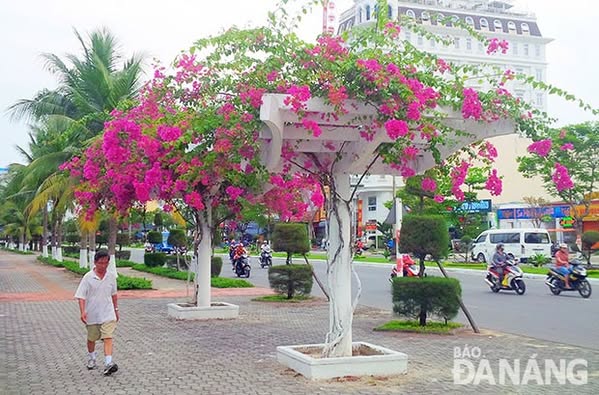 Lô đất 390m2,ngang 15m -View biển vịnh Đà Nẵng -Nguyễn Tất Thành -Giá chỉ 32,950 tỷ