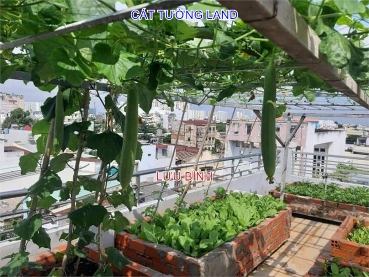 Bán nhà 7x15m, 5 Tầng. Hẻm 8m Phan Huy Ích, Tân Bình. Rất gấp bán, giá tốt