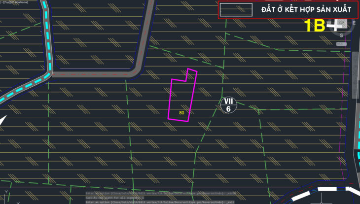 Đất 1/ đường Trương Thị Kiện – 1145m2 – 10×55 nở hậu 21m – 65m2 thổ cư – xã Thái Mỹ – Củ Chi