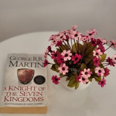 NHÀ MẶT PHỐ PHAN TỨ – KD ĐỈNH – MẶT TIỀN RỘNG 8.1M – CÁCH BÃI TẮM MỸ KHÊ 400M – 2 MẶT TIỀN (1 MẶT