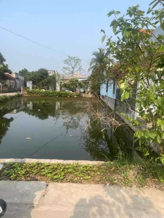 CHÍNH CHỦ GỬI BÁN ĐẤT TẠI THÔN NAM ĐẠI – XÃ QUỲNH BẢO – QUỲNH PHỤ – THÁI BÌNH