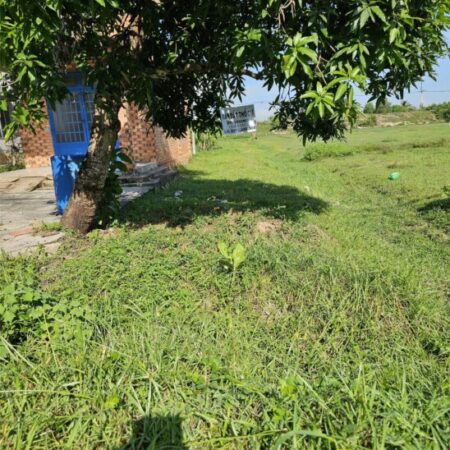 Bán đất thổ cư tại Củ Chi – Lý tưởng để đầu tư & phát triển