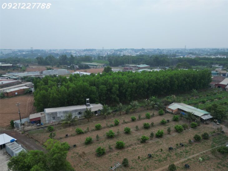 Bán 1000 m² xã Bình Minh gần ngay QL1A đường nhựa lớn dân cư đông đúc giá chỉ hơn 2 tỷ