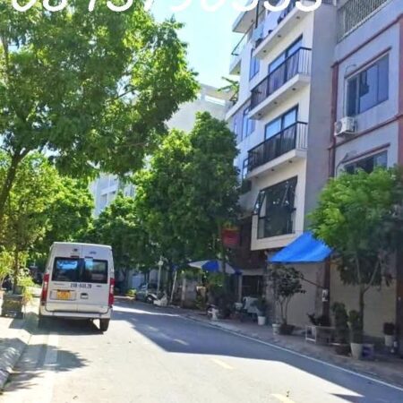 bán nhà Lý Sơn, Long Biên, biệt thự 110m x 6t mt5,m, thang máy dân xây kinh doanh, ô tô tránh, giá