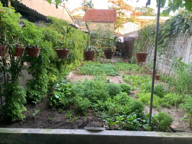 ♥ Nhà Kiệt Trần Văn Dư Biển Mỹ Khê, 330m2, ngang 11, ~41tr/m2