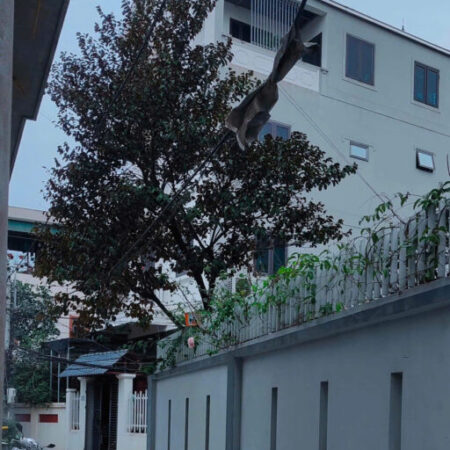 Bán nhà 40m2,5 tầng,thị trấn Trạm Trôi,đường thông, moning đỗ cửa