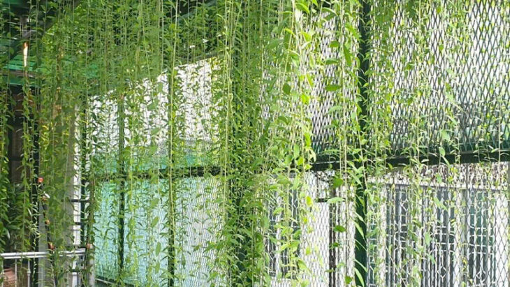 NHÀ Q10 THÀNH THÁI – HẺM 5M – DÂN TRÍ CAO – 5P TỚI UBND Q10 – 8 TỶ XX