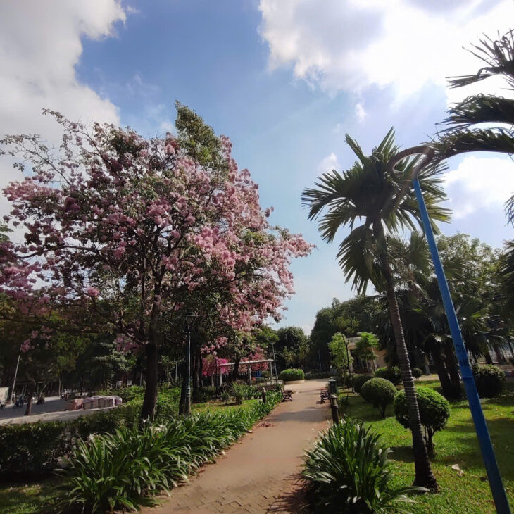 NHÀ VIU HAI CÔNG VIÊN QUẬN 6 DIỆN TÍCH 4X10M, 2 TẦNG CHỈ 5.2 TỶ