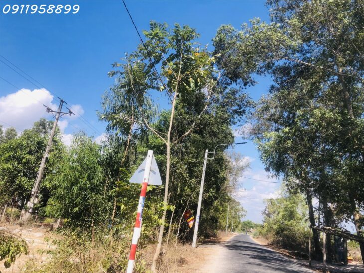 Bán 1000m2 đât ONT Đường Cù Chính Lan – TX LaGi giá rẻ nhất 190tr/m ngang
