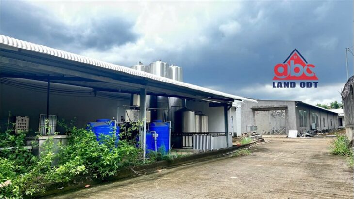 X108 nhà xưởng bán chủ trương SX thực phẩm. khuôn thảm nền bê tông toàn bộ