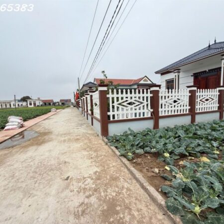 Chính chủ cần bán gấp đất nền 101m2 xã Giao phong giá rẻ siêu hời 800 triệuVNĐ