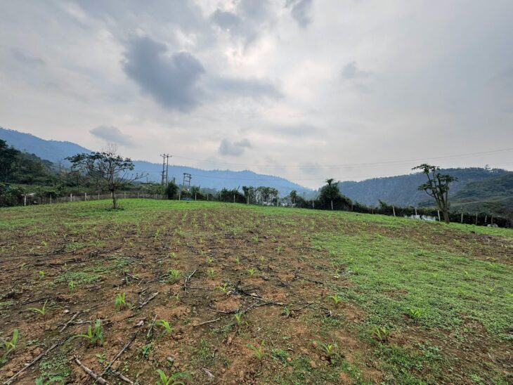 Đất Phân Lô Phú Mãn, Quốc Oai, Hà Nội 70x50m