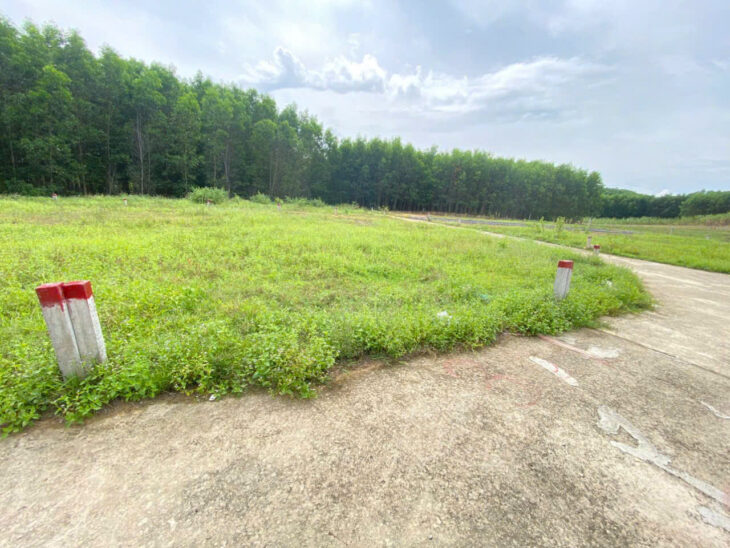 Bán lô đất Diên tân 117 m2 – DIÊN KHÁNH – KHÁNH HÒA – Giá 550 tr