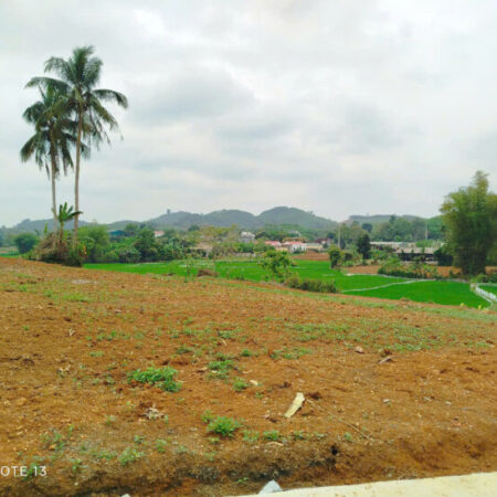 Đất nền cạnh sân bay Sao Vàng Thọ Xuân Thanh Hóa giá rẻ cần bán gấp. Đất nền cạnh sân bay Sao Vàng Thọ Xuân Thanh Hóa giá rẻ cần bán gấp.