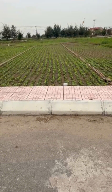 Chính chủ bán đất nền ven biển Quất Lâm