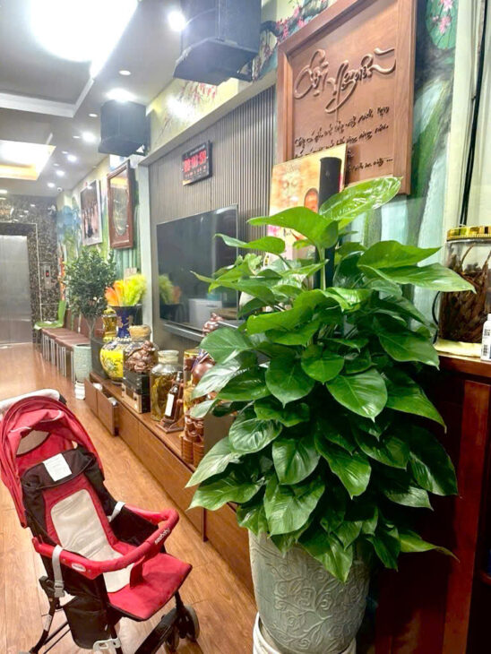 Khu đất dịch vụ Tây Nam Linh Đàm, đường ô tô tránh nhau, có vỉa hè rộng, kinh doanh sầm uất,