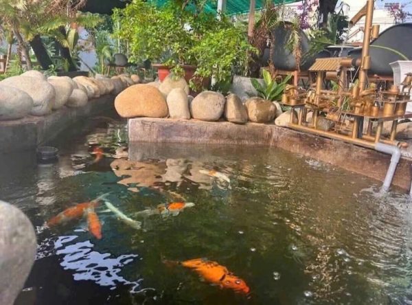 Bình Dương ! QUÁN ĐẸP ! QUÁN Cafe S/VƯỜN DTSD : 1000 m2, MB thuê chỉ 10tr / tháng, Tel : 0917103538