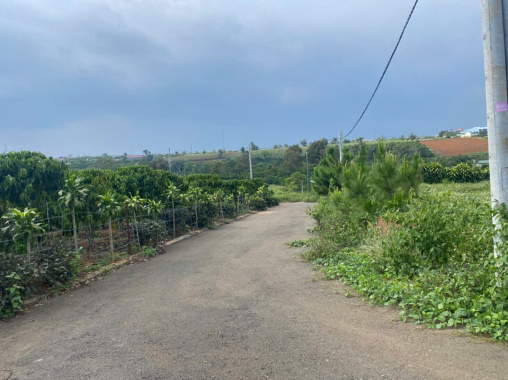 Bán đất xã Lộc An, huyện Bảo Lâm, Lâm Đồng – Hỗ trợ vay ngân hàng 100%