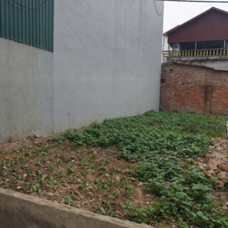 Bán đất thôn Phù Trì, Kim Hoa, Mê Linh. Gần đường vành đai 4. Full thổ cư, ô tô đỗ cửa.