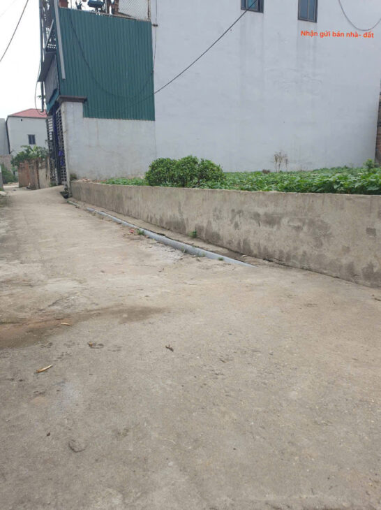 Bán đất thôn Phù Trì, Kim Hoa, Mê Linh. Gần đường vành đai 4. Full thổ cư, ô tô đỗ cửa.