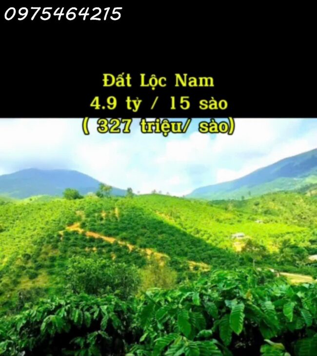Thôn 10, xã Lộc Nam, huyện Bảo Lâm, Lâm Đồng • Mặt tiền đường nhựa hơn 200m,15 sào đất vườn sầu