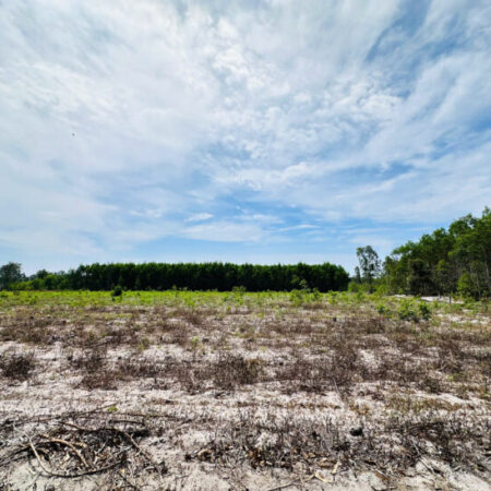 Bán 4000m2 đất mặt tiền 719B – Tân Bình – TX LaGi chỉ 66 triệu/m ngang