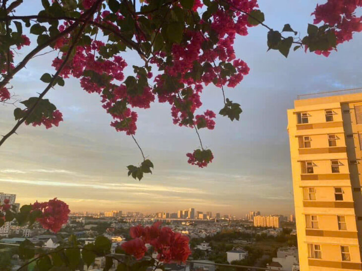 Bán CH Fuji Residence, Đỗ Xuân Hợp, 3690 tỷ, 68m2, 2PN, 2WC, giá cực chất